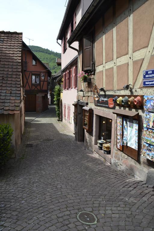 Gites Du Stekala Kaysersberg-Vignoble Phòng bức ảnh