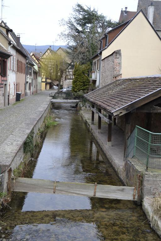 Gites Du Stekala Kaysersberg-Vignoble Ngoại thất bức ảnh